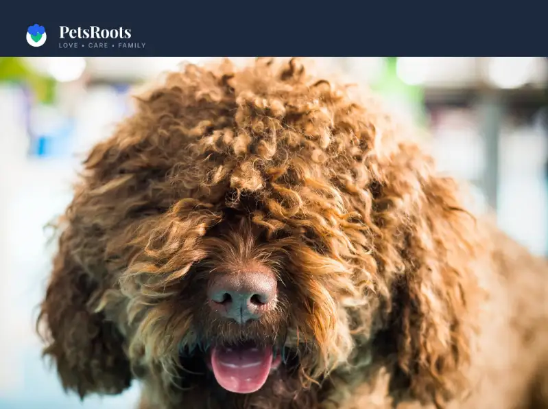 Curly, wavy, and long fluffy coats