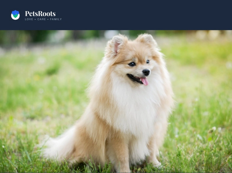 What makes hair look fluffy